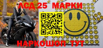 гидропоника Сланцы
