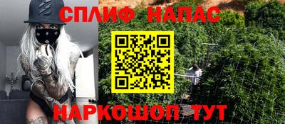 jwh Славгород