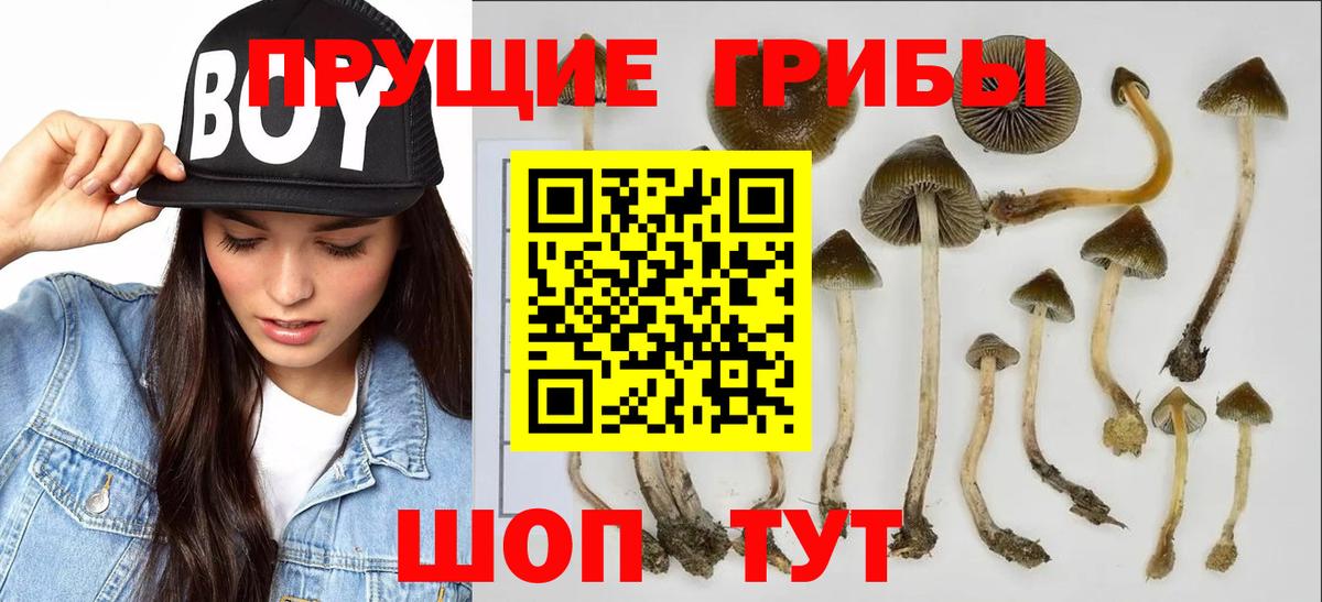 Псилоцибиновые грибы мицелий Первоуральск